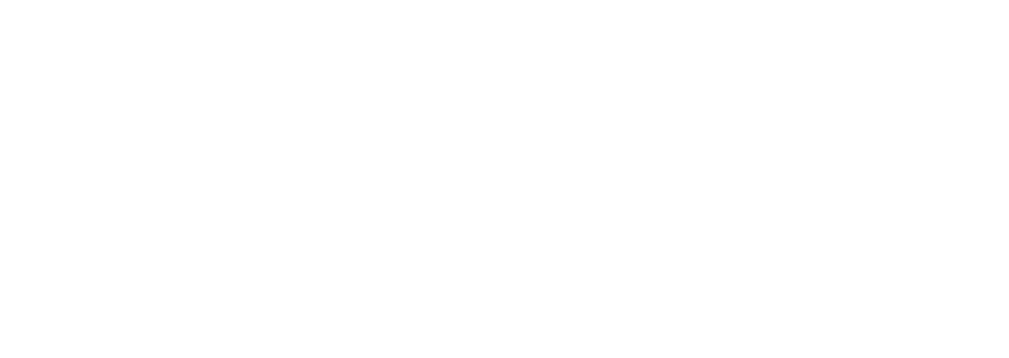 Sky Venture Labs